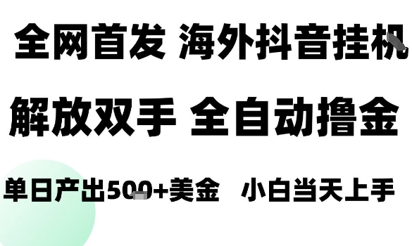 海外抖音无人直播，单日产出1.5k+，长期稳定，新手可玩，无脑操作【揭秘】-摇钱述网创