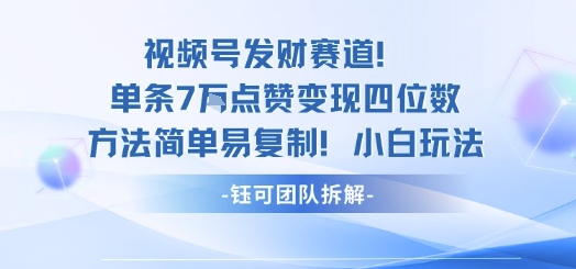 视频号发财赛道单条7W点赞变现四位数方法简单易复制小白玩法-摇钱述网创
