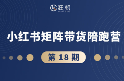 盗坤·抖音小红书视频号短视频带货与直播变现(11-18期)-摇钱述网创