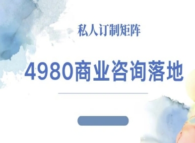 4980商业咨询师落地课程-ip运营高客单教程-摇钱述网创