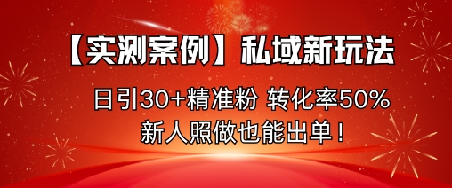 【实测案例】私域新玩法,日引30+精准粉,转化率50%,新人照做也能出单!-摇钱述网创