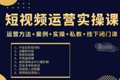 短视频运营实操课,运营方法+案例+实操+私教+线下闭门课-摇钱述网创