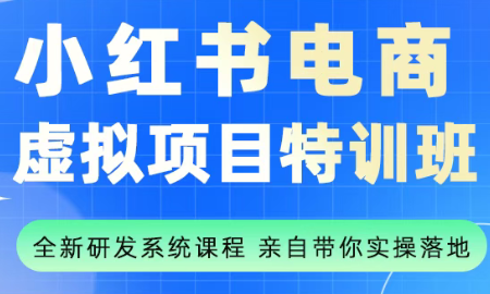 陆明明·小红书虚拟项目特训班(更新9月)-摇钱述网创