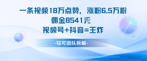 一条视频18W点赞,涨粉6.5W粉佣金8541米,视频号+抖音=王炸-摇钱述网创