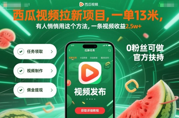 西瓜视频拉新项目,一单13米,有人悄悄用这个方法,一条视频收益2.5w+(附详细教程)-摇钱述网创