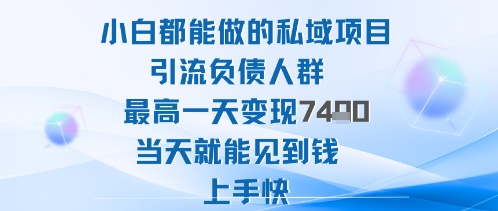 2025年小白都能做的私域项目引流负债人群最高一天变现1k+高变现难度低当天就能见到钱上手快-摇钱述网创
