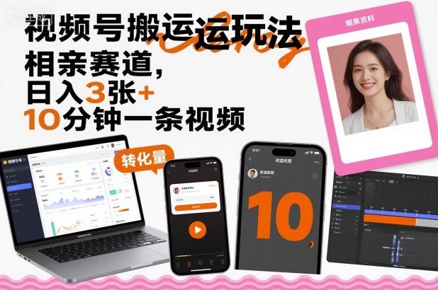 视频号搬运玩法,相亲赛道,日入3张+,10分钟一条视频-摇钱述网创