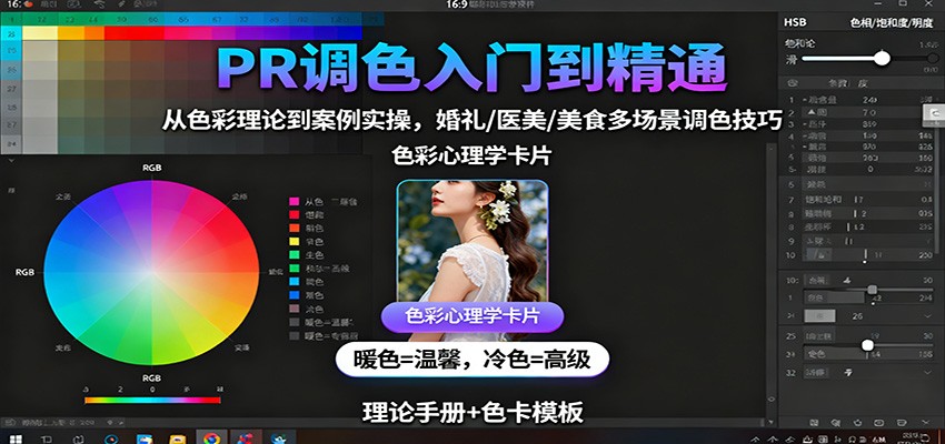 PR调色入门到精通:从色彩理论到案例实操,婚礼/医美/美食多场景调色技巧-摇钱述网创