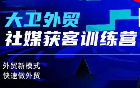 大卫老师·外贸社媒获客独家训练营(更新10月)-摇钱述网创