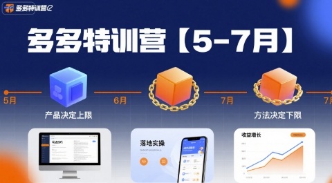多多特训营，产品决定上限，方法决定下限，各种玩法技巧落地实操(更新)-摇钱述网创