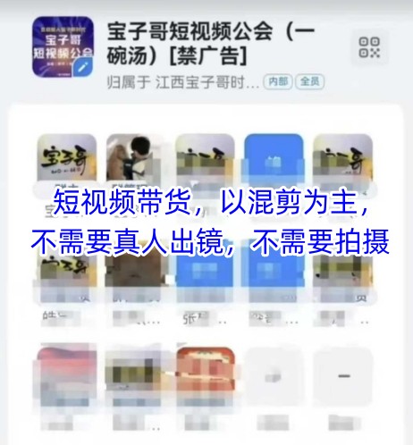 宝子哥头部团队短视频带货，以混剪为主，不需要真人出镜，不需要拍摄【更新9月】-摇钱述网创