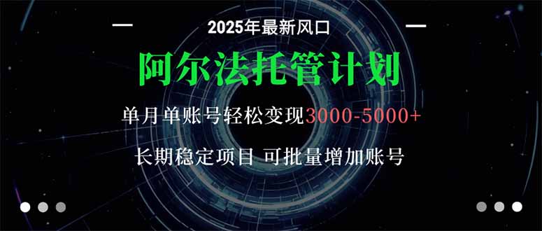 阿尔法托管计划 单账号月入3000-5000，长期稳定项目，新手小白轻松上手。-摇钱述网创