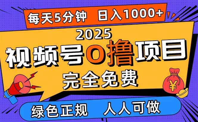 2025视频号0撸项目,5分钟一个号,日入1000+,人人可做-摇钱述网创
