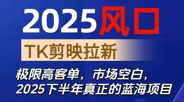 2025风口TK剪映capcut拉新项目,极限高客单,市场空白,2025下半年真正的蓝海项目-摇钱述网创