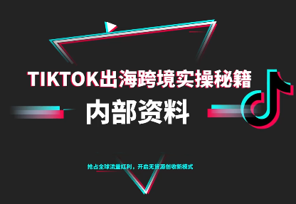 TikTok跨境电商0-1搭建运营(更新10月)-摇钱述网创