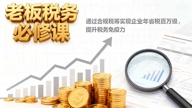 老板税务必修课,通过合规税筹实现企业年省税百万级,提升税务免疫力-摇钱述网创