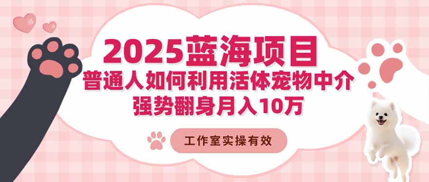 2025蓝海项目：普通人如何利用活体宠物中介，强势翻身月入10万-摇钱述网创