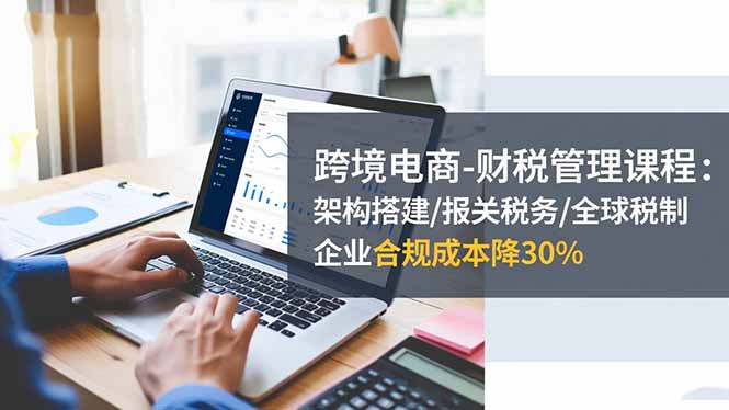 跨境电商-财税管理课程：架构搭建/报关税务/全球税制，企业合规成本降30%-摇钱述网创
