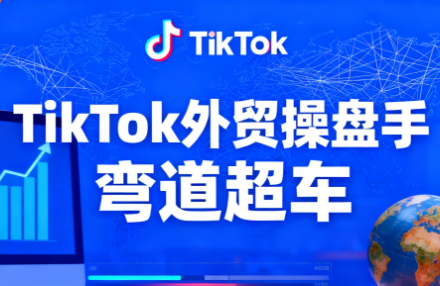 TikTok外贸操盘手(更新11月)-摇钱述网创